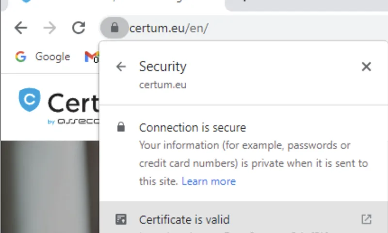 256-Bit SSL Encryption Data Shield